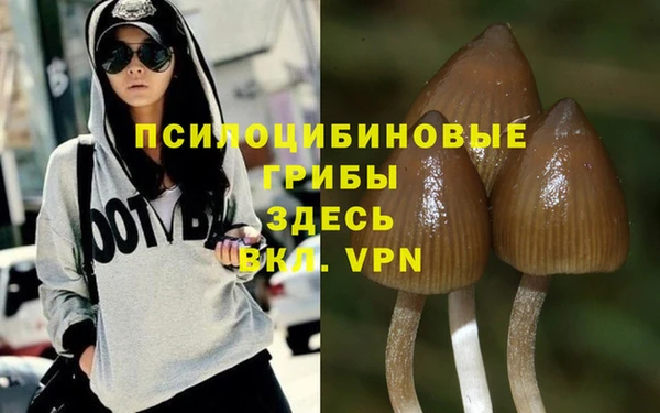 дурь Алексеевка