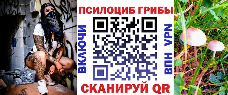 гидра ссылки  Архангельск  Псилоцибиновые грибы GOLDEN TEACHER 